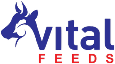 Vital Feeds logo - animal feed mill in Arifwala, Pakistan